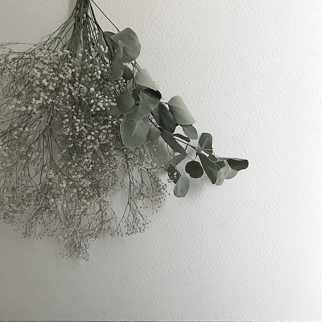 かすみ草ドライ かすみ草 ドライフラワー シンプルインテリア シンプルホーム などのインテリア実例 19 05 29 10 27 28 Roomclip ルームクリップ