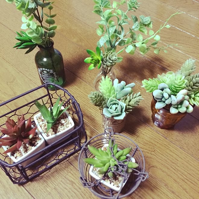 棚 セリア フェイクグリーン キャンドゥ 多肉植物 などのインテリア実例 14 06 19 11 23 19 Roomclip ルームクリップ