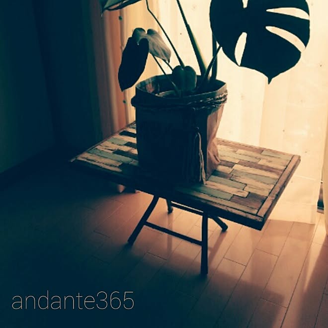 andante365さんの部屋