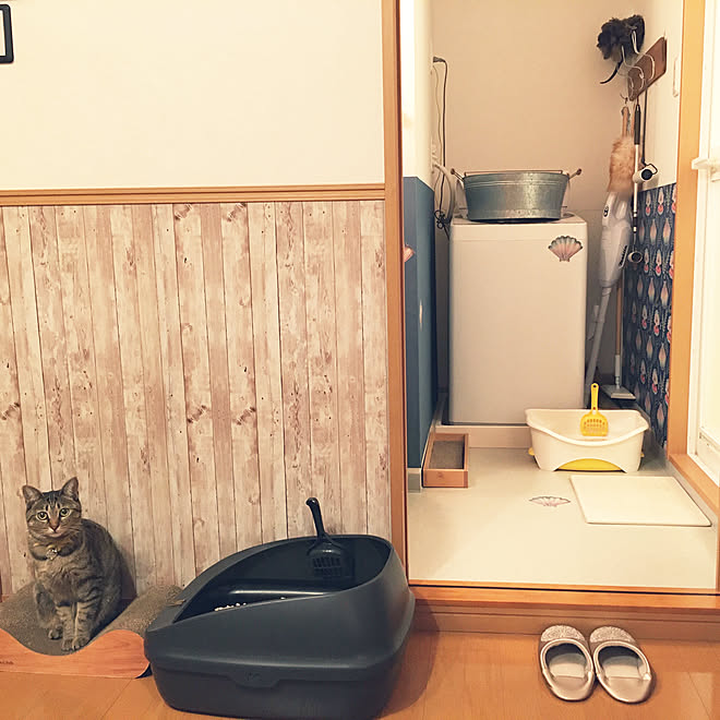 Mさんの部屋