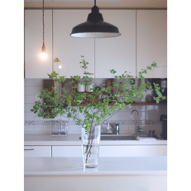 キッチン 枝物 花瓶 ドウダンツツジ フラワーベースのインテリア実例 19 05 14 45 08 Roomclip ルームクリップ