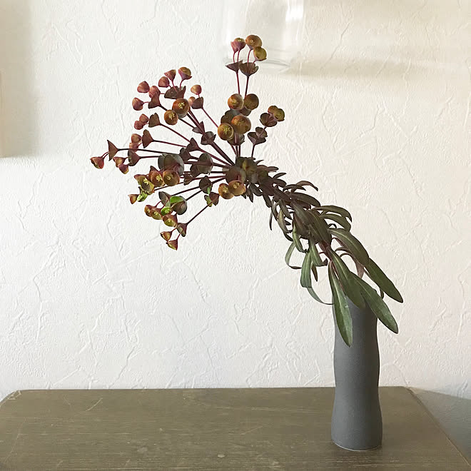 切り花/植物のある暮らし/植物のあり過ぎる暮らし/ig→hitorururu/和風...などのインテリア実例 - 2018-04-14 20:03:13