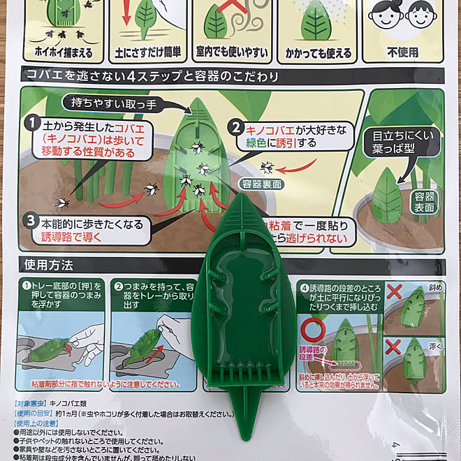 説明書がわかりやすい/BotaNice/多肉植物/観葉植物/観葉植物初心者...などのインテリア実例 - 2019-07-04 20:16:26