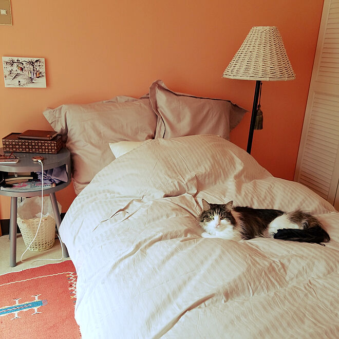 ベッド周り/猫のいる生活/絵/ひとり暮らし/壁を飾る...などのインテリア実例 - 2019-03-18 11:08:54