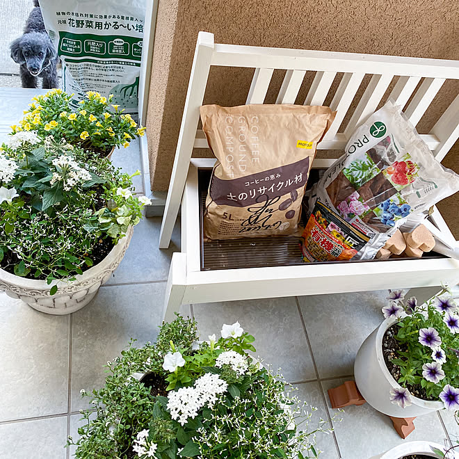 ベンチプランター プランター ガーデニング 寄せ植え 店舗