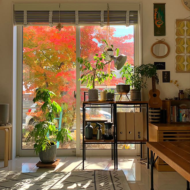 シンボルツリー 紅葉 もみじ 秋の庭 植物のある暮らし などのインテリア実例 22 11 09 21 17 26 Roomclip ルームクリップ