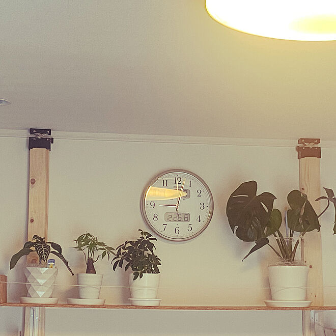 plant-happinessさんの部屋