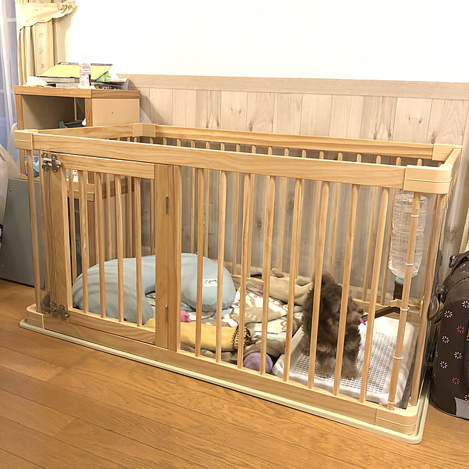 サークル オシャレ リビング 犬 リビング ケージ オシャレ チワプー などのインテリア実例 04 01 17 48 25 Roomclip ルームクリップ サークル オシャレ リビング 犬 リビング ケージ オシャレ チワプー などのインテリア実例 04 01 17 48 25 Roomclip ルームクリップ