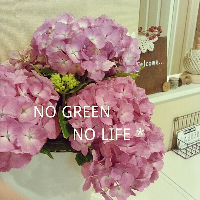 机/NO GREEN NO LIFE/父の日/IKEAのインテリア実例 - 2015-06-21 19:12:21