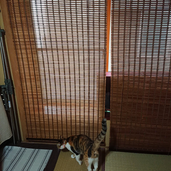 akiさんの部屋