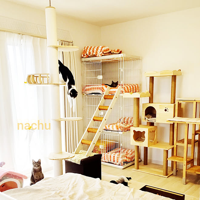 nachuさんの部屋