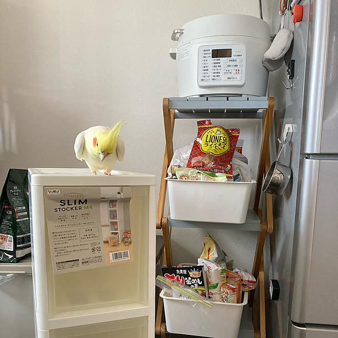 toratanさんの部屋