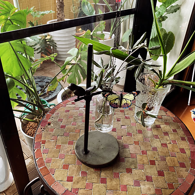 オリーブの枝 花瓶 オブジェ グリーンのある暮らし おうちで過ごそう などのインテリア実例 21 06 07 08 43 38 Roomclip ルームクリップ