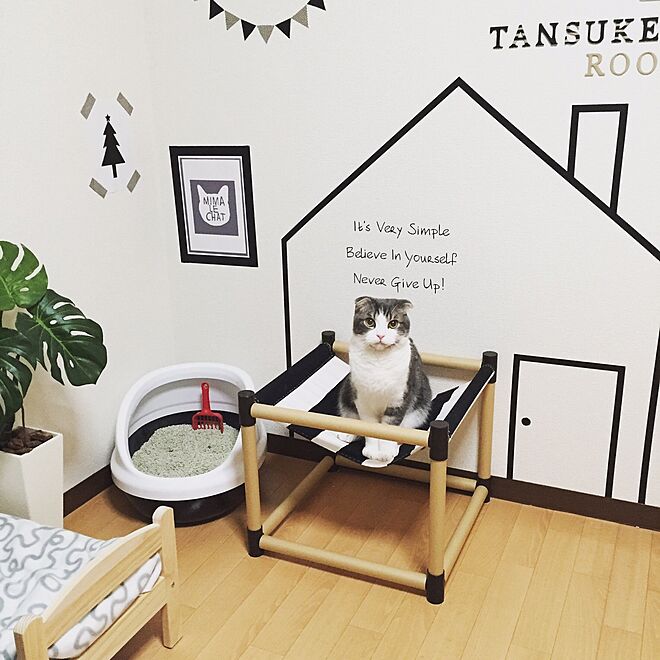 tansukeさんの部屋