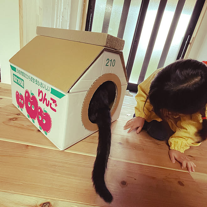 nekosamaさんの部屋