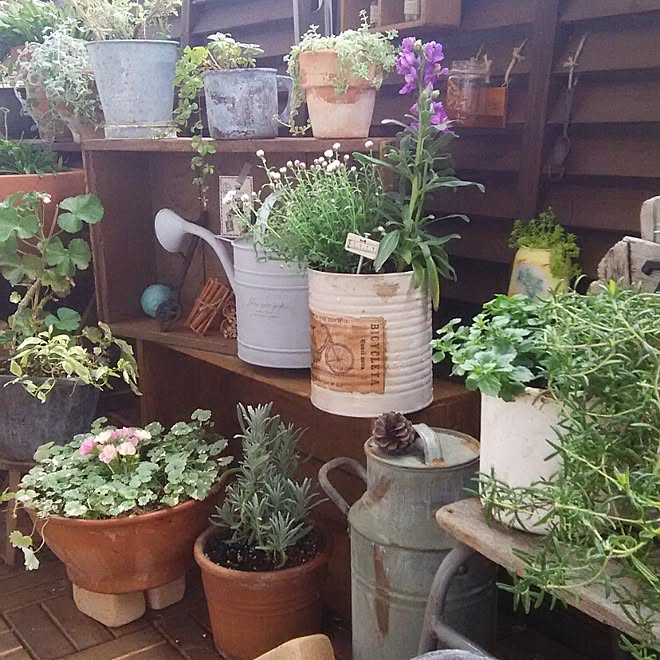 部屋全体 雑貨 ベランダガーデニング ミルク缶 木箱 などのインテリア実例 15 03 01 10 57 43 Roomclip ルームクリップ 部屋全体 雑貨 ベランダガーデニング ミルク缶 木箱 などのインテリア実例 15 03 01 10 57 43 Roomclip ルームクリップ