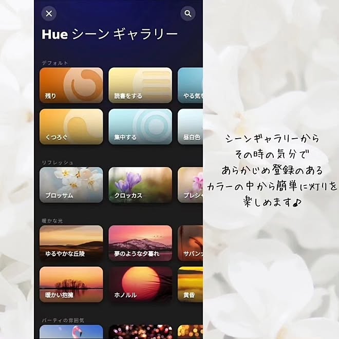 癒しスペース/灯りで癒される暮らし/スマートライト/Philips Hue