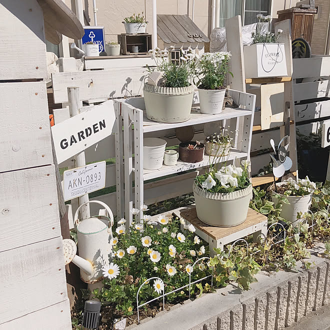 花壇ｄｉｙ 花壇の花 庭 ガーデニング初心者 100均大好き などのインテリア実例 19 04 04 09 28 15 Roomclip ルームクリップ