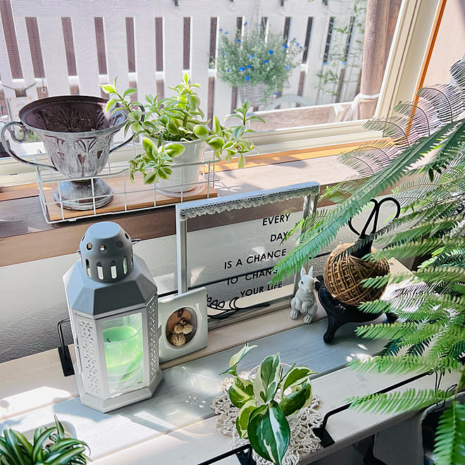 水差しポトス 観葉植物のある暮らし 百均インテリア Ikea 雑貨 セリアのうさぎ などのインテリア実例 22 10 01 09 30 25 Roomclip ルームクリップ