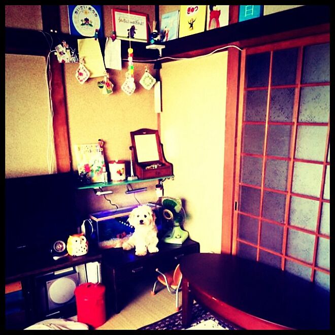 ichichiさんの部屋