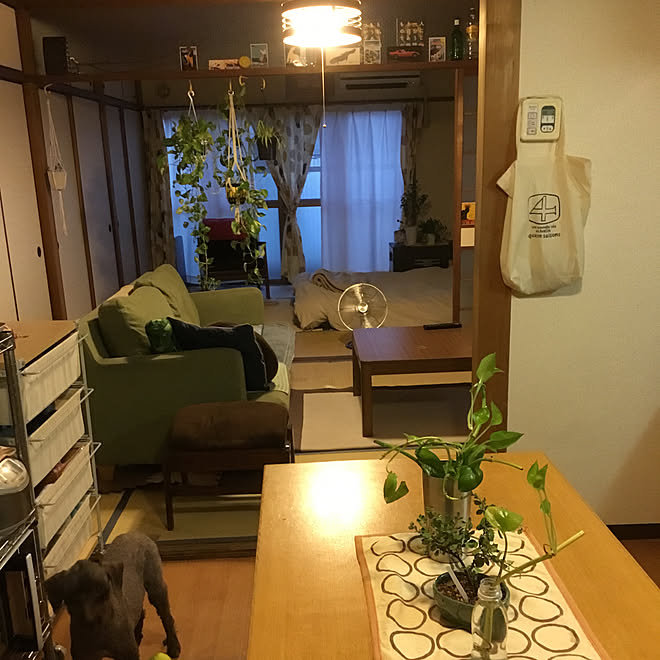 tamaさんの部屋