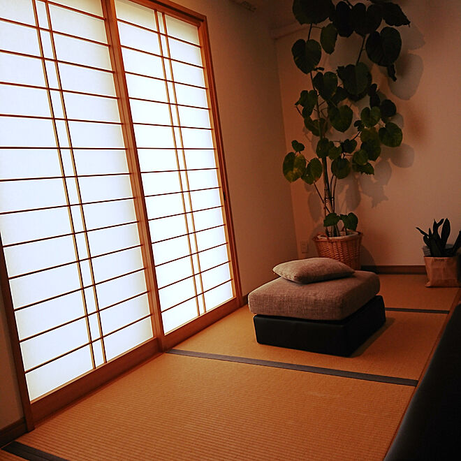 kotaroさんの部屋