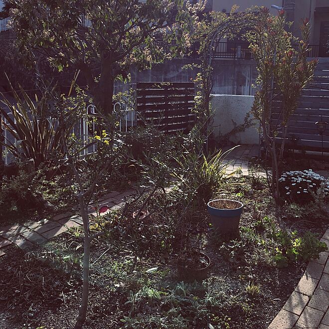 玄関/入り口/DIY/ガーデン/植物のインテリア実例 - 2016-03-24 16:16:39