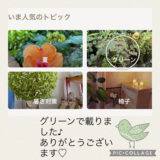 CoCo0617さんの部屋