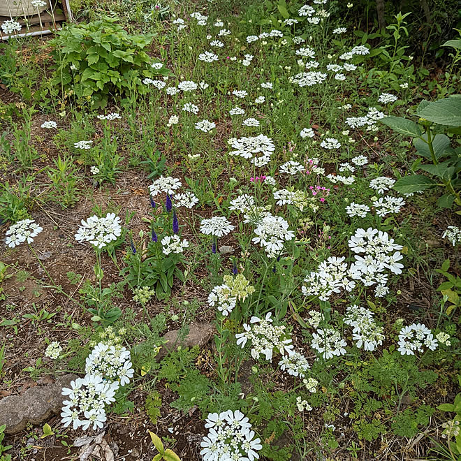 hiroさんの部屋