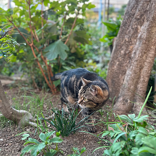 botanさんの部屋