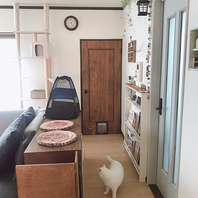 kotoriさんの部屋