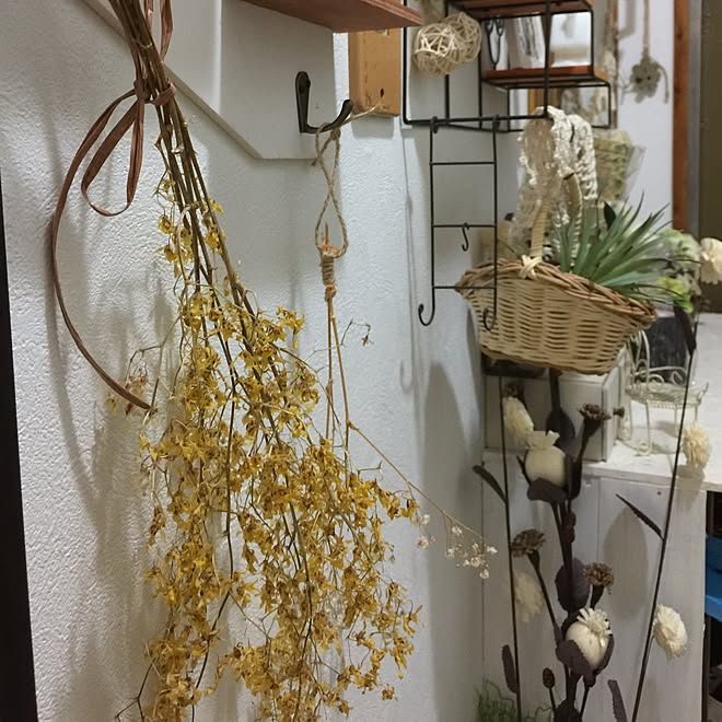 micchiさんの部屋