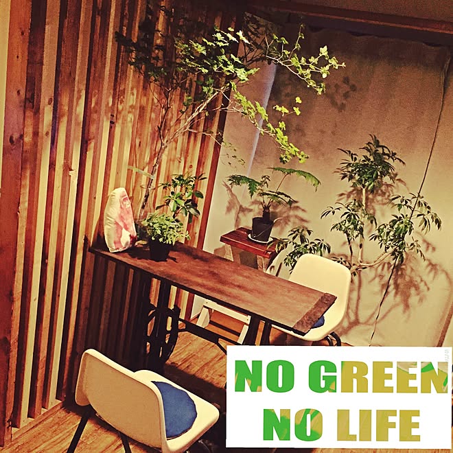 机/DIY/元和室/賃貸/NO GREEN NO LIFE...などのインテリア実例 - 2015-05-31 19:36:35