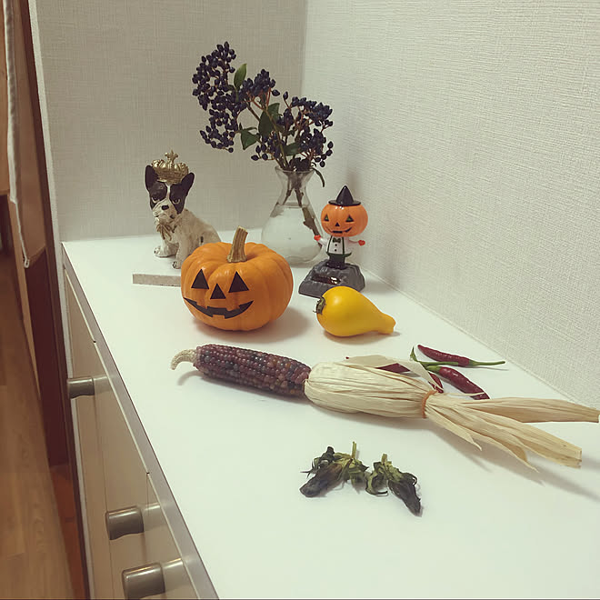 ハロウィン/観葉植物/雑貨/玄関/入り口のインテリア実例 - 2020-10-22 17:41:23