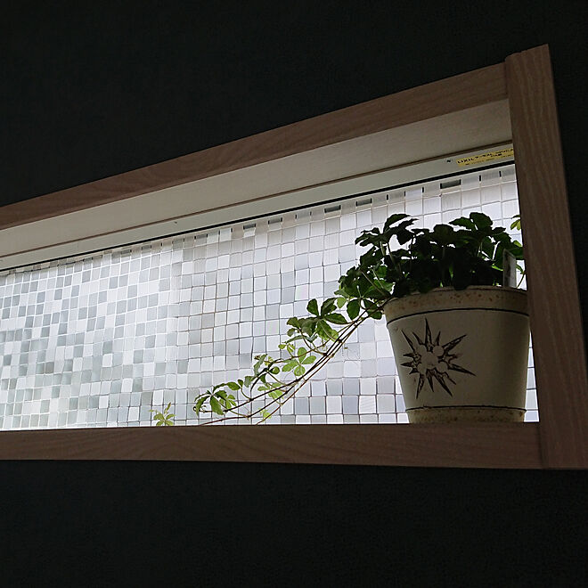 壁/天井/ガラスフィルム/DIY/ナチュラル/観葉植物...などのインテリア実例 - 2019-03-14 20:02:29