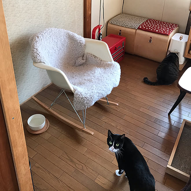 nejimakiさんの部屋