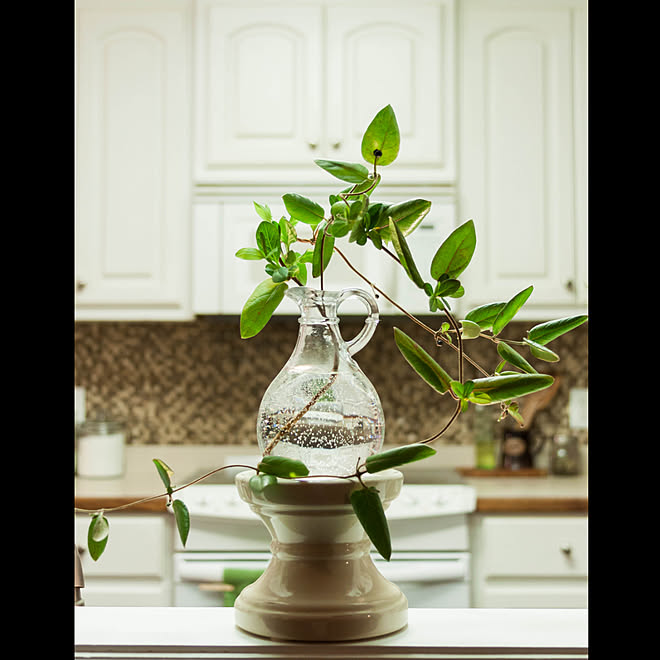 スイカズラ/Honeysuckle/キッチン/DIYタイル貼り/ナチュラル...などのインテリア実例 20190213 1416