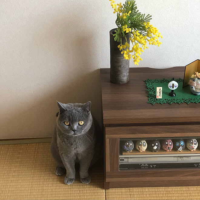 nanakoさんの部屋