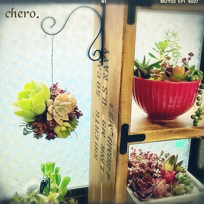 chero.さんの部屋