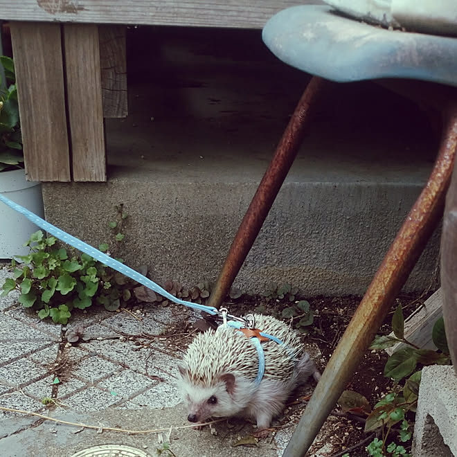 tomominさんの部屋