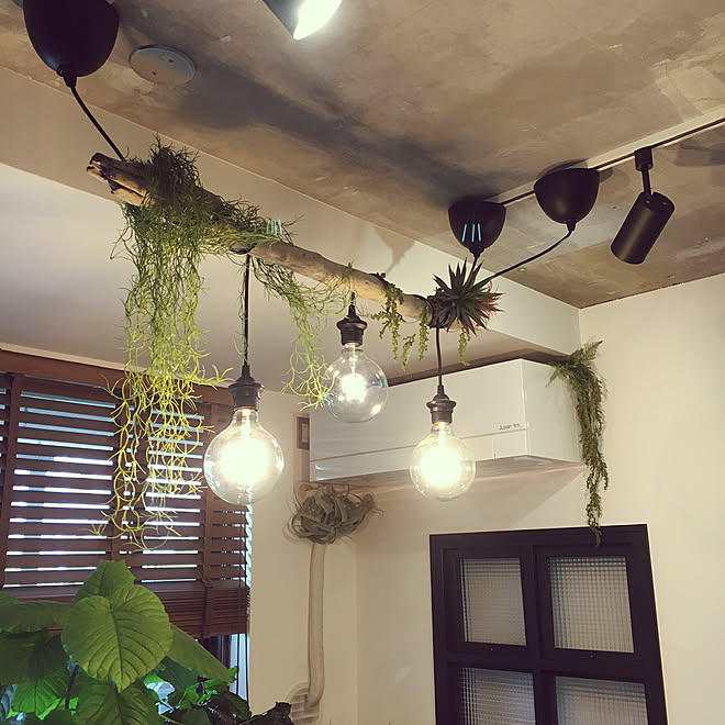 フェイクグリーン/木製ブラインド/室内窓/IKEA/流木...などの