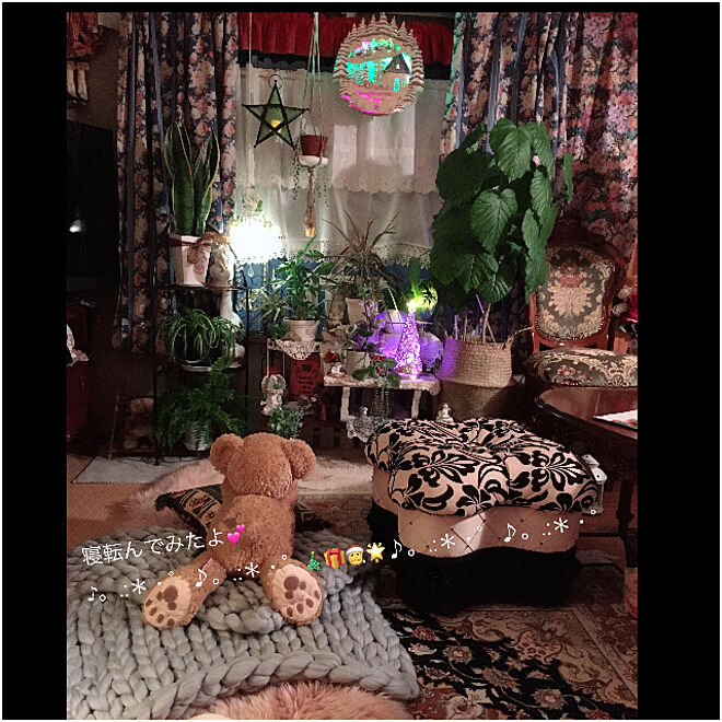 teddybearさんの部屋