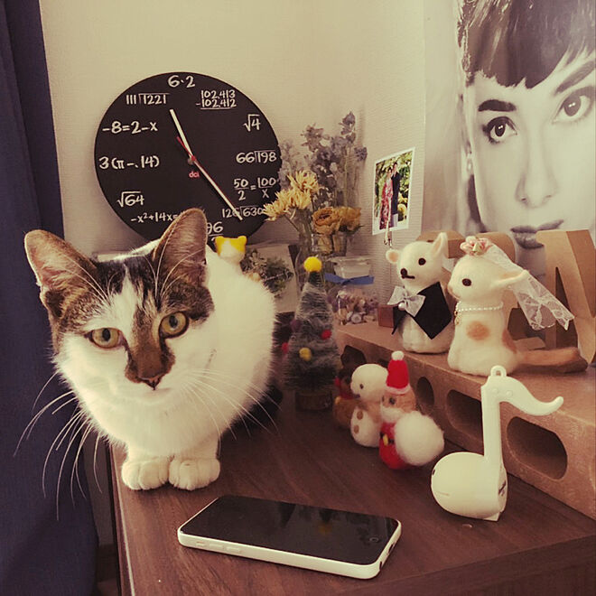 hana_home_and_catsさんの部屋