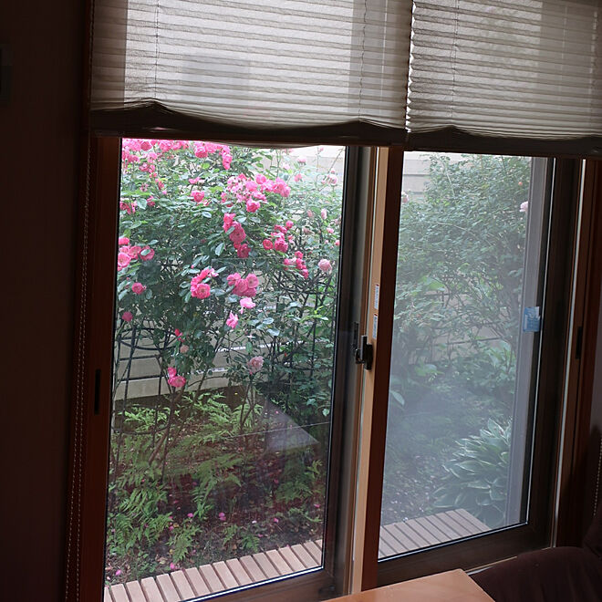magnoliaさんの部屋