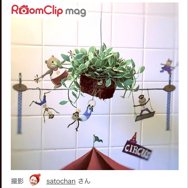 バス/トイレ/Room Clip Mag/2019.12.9/NO GREEN NO LIFE/ディスキディアのインテリア実例 - 2016-12-09 22:15:01