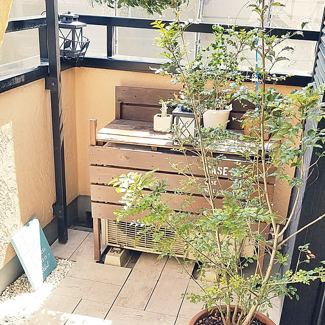 ニトリ/建て売り一戸建て/グリーンのある暮らし/カッコいいもかわいいも好き/べらんだGarden。...などのインテリア実例 - 2018-05-14 14:06:46