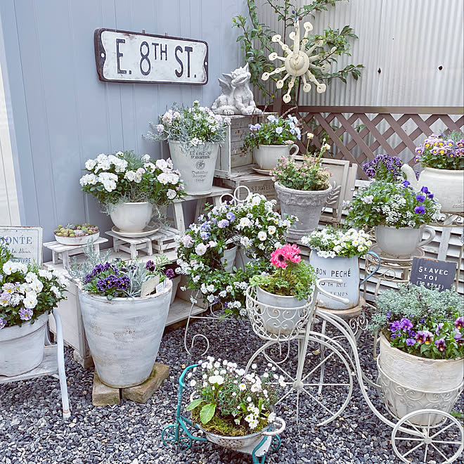 植物のある暮らし/お花のある暮らし/みどりの雑貨屋さん/ビオラ