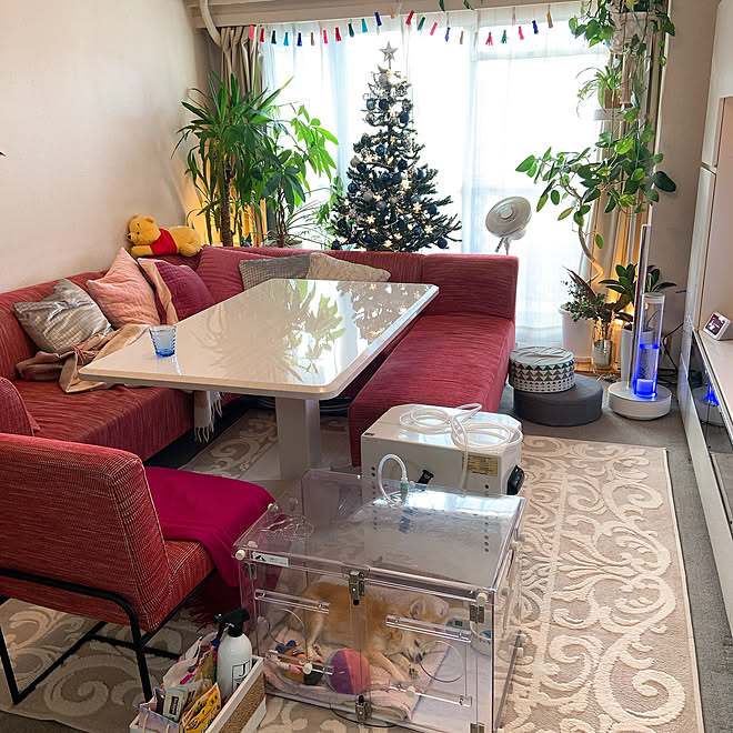 爆買い高品質】 Francfranc / フランフラン ホットカーペット ラグ M