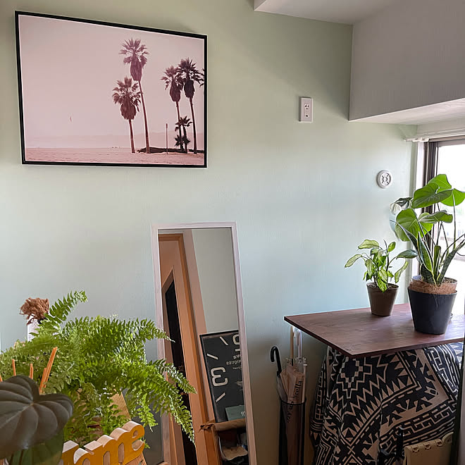 ロンハーマン 風 観葉植物 フェイクグリーン 壁紙 海を感じる部屋にしたい などのインテリア実例 21 07 09 07 44 51 Roomclip ルームクリップ