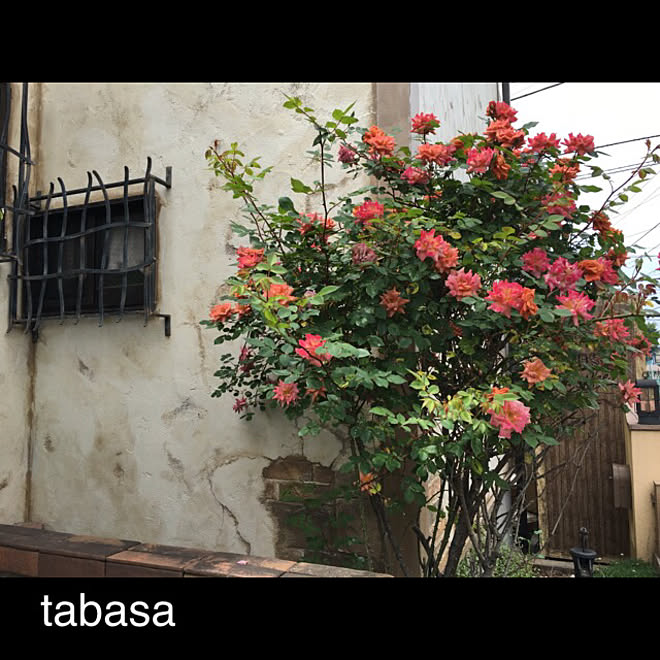 tabasaさんの部屋